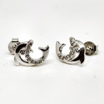 Eternal Silver Shine Earrings