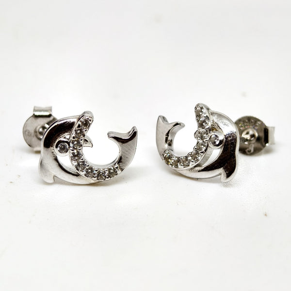 Eternal Silver Shine Earrings