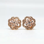 Serenity Rosé Drop Silver Earrings
