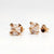 Stella Rosé Dazzle Silver Earrings