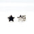 Sparkling Zircon Sterling Silver Earrings