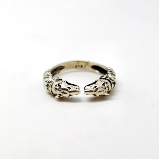 Mystic Heritage Silver Ring - Image 3